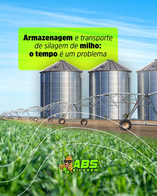 Armazenagem e transporte de silagem de milho: o tempo é um problema