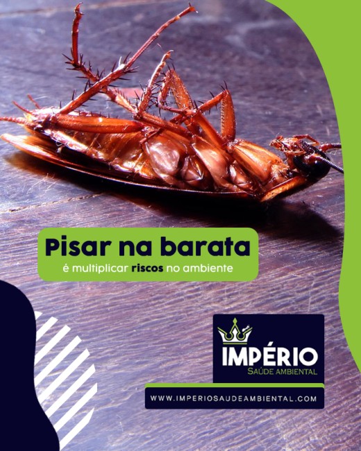 Pisar na barata é multiplicar riscos no ambiente