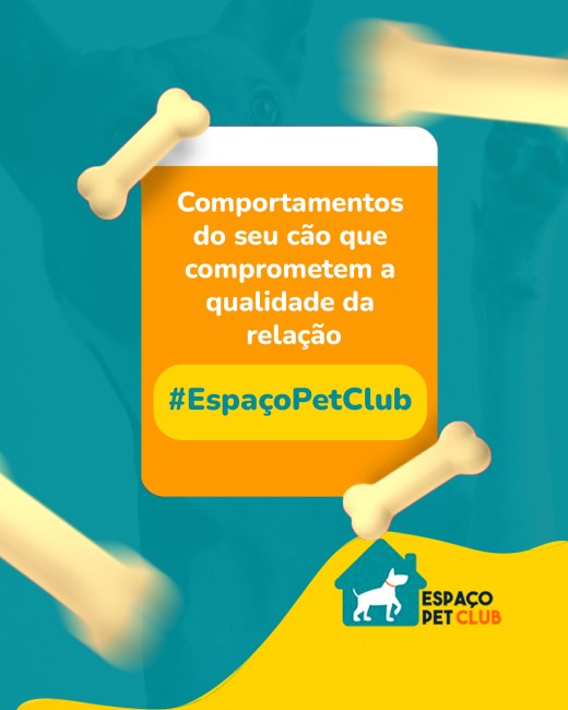 Comportamentos do seu cão que comprometem a qualidade da relação