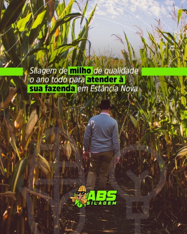 Silagem de milho de qualidade o ano todo para atender à sua fazenda em Estância Nova