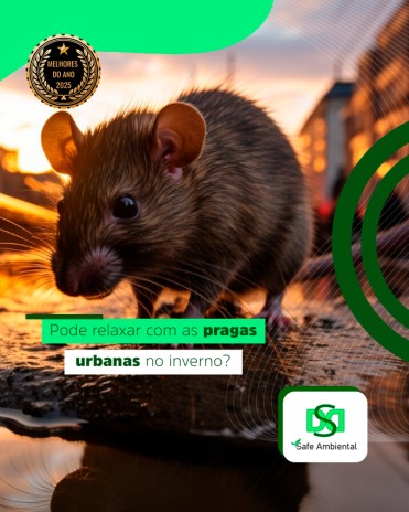 Pode relaxar com as pragas urbanas no inverno?