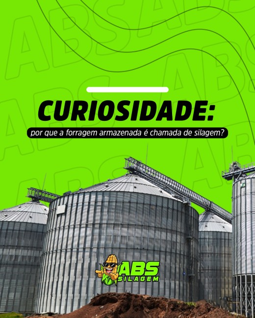 Curiosidade: por que a forragem armazenada é chamada de silagem?