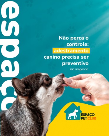 Não perca o controle: adestramento canino precisa ser preventivo