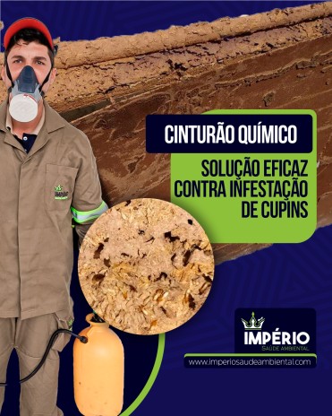 Cinturão químico: solução eficaz contra infestação de cupins