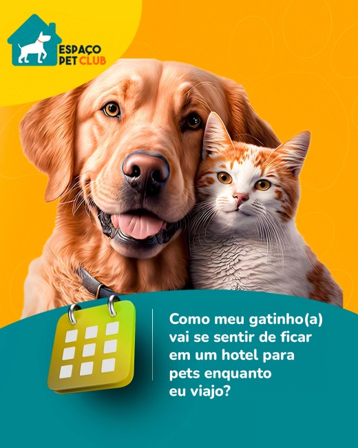 Como meu gatinho (a) vai se sentir de ficar em um hotel para pets enquanto eu viajo?