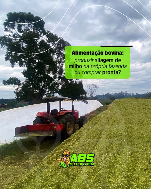 Alimentação bovina: produzir silagem de milho na própria fazenda ou comprar pronta?