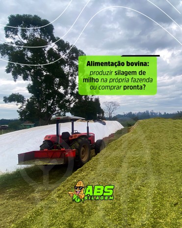 Alimentação bovina: produzir silagem de milho na própria fazenda ou comprar pronta?