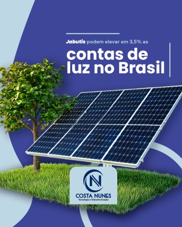 Jabutis podem elevar em 3,5% as contas de luz no Brasil