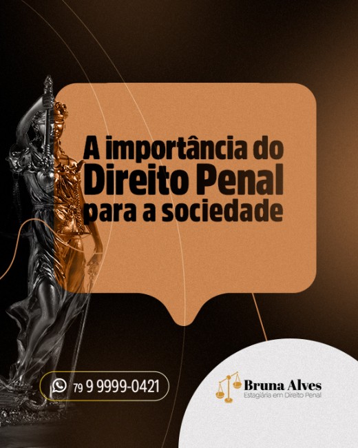 A importância do Direito Penal para a sociedade