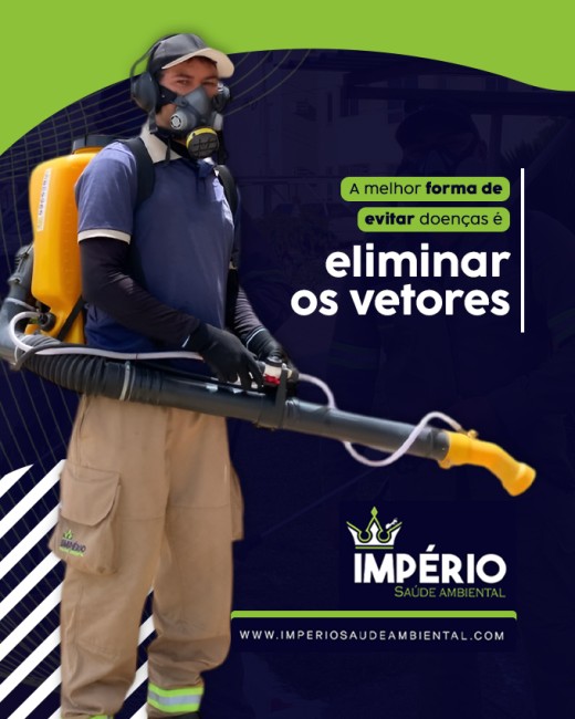 A melhor forma de evitar doenças é eliminar os vetores