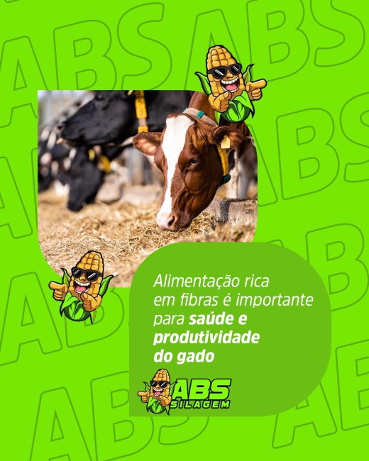 Alimentação rica em fibras é importante para saúde e produtividade do gado