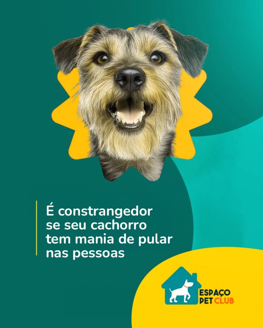 É constrangedor se seu cachorro tem mania de pular nas pessoas