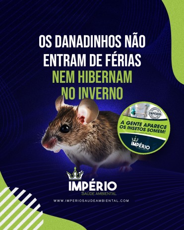 Os danadinhos não entram de férias nem hibernam no inverno