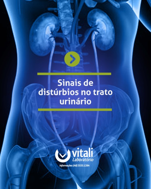 Sinais de distúrbios no trato urinário