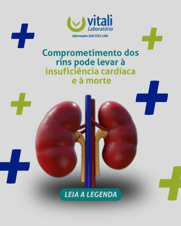 Comprometimento dos rins pode levar à insuficiência cardíaca e à morte