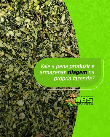Vale a pena produzir e armazenar silagem na própria fazenda?