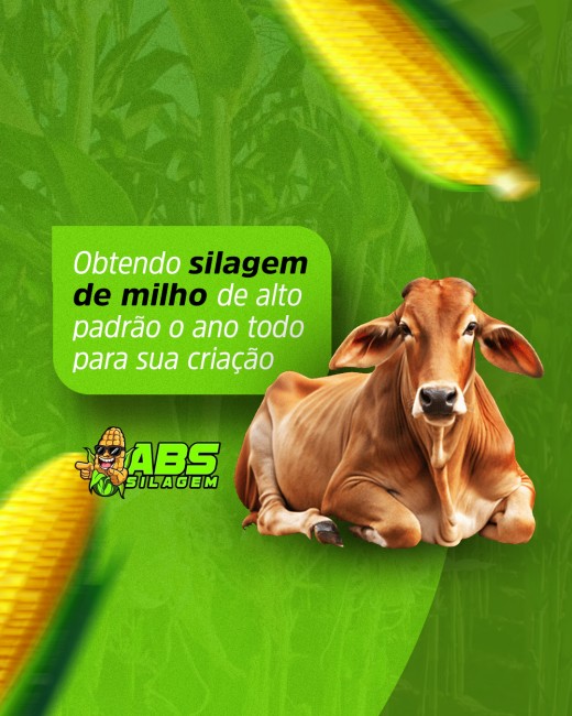 Obtendo silagem de milho de alto padrão o ano todo para sua criação
