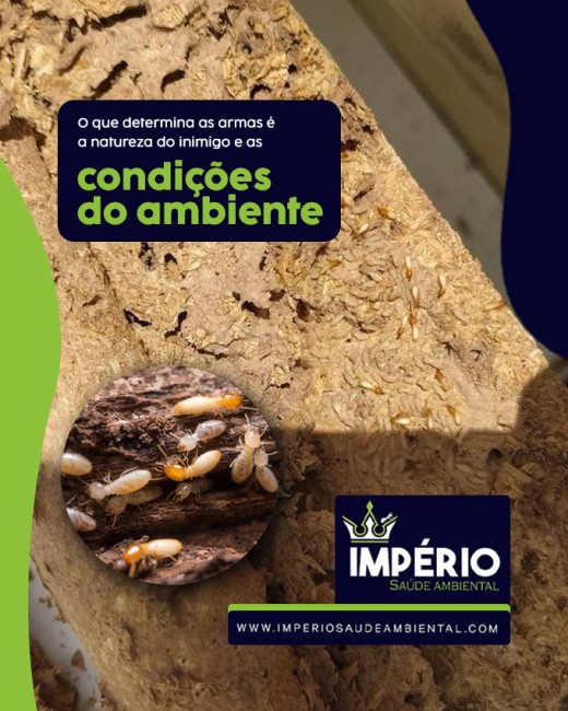 O que determina as armas é a natureza do inimigo e as condições do ambiente