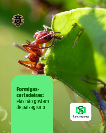 Formigas-cortadeiras: elas não gostam de paisagismo
