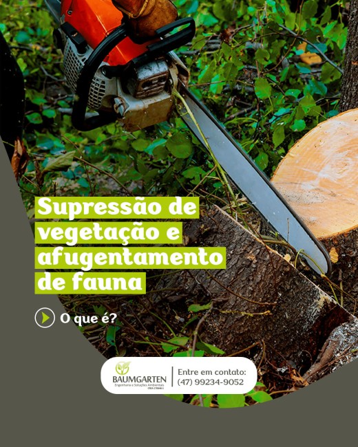 Supressão de vegetação e afugentamento de fauna