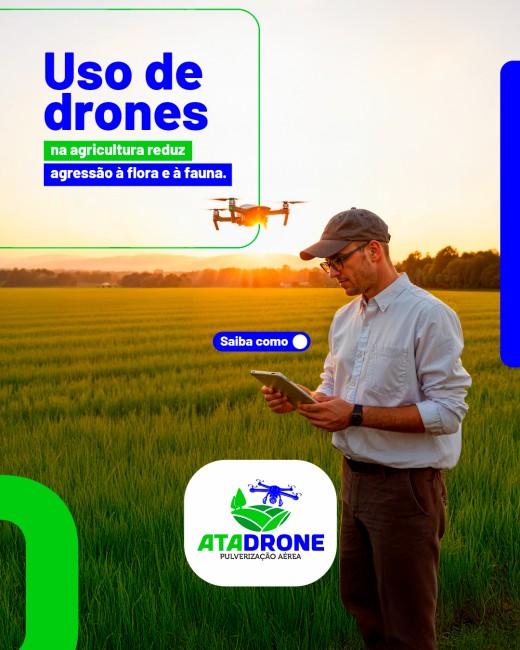 Uso de drones na agricultura reduz agressão à flora e à fauna. Saiba como