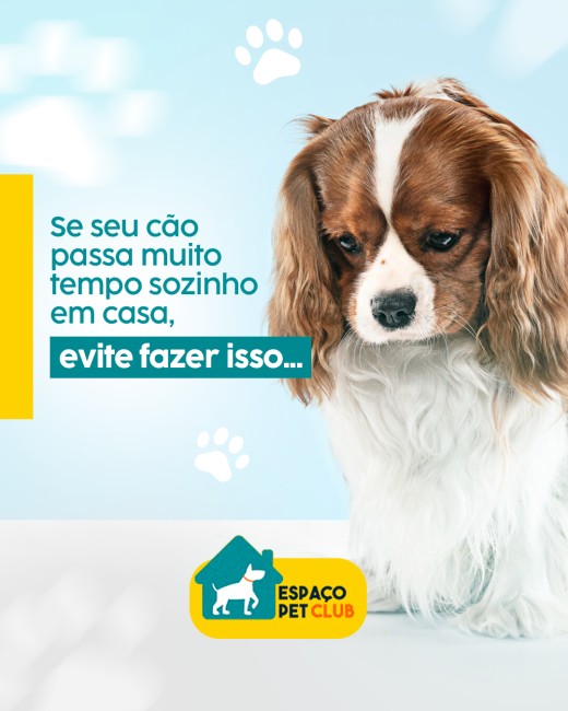 Se seu cão passa muito tempo sozinho em casa, evite fazer isso...