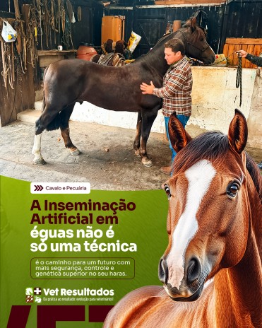 A Inseminação Artificial em éguas não é só uma técnica, é o caminho para um futuro com mais segurança, controle e genética superior no seu haras.