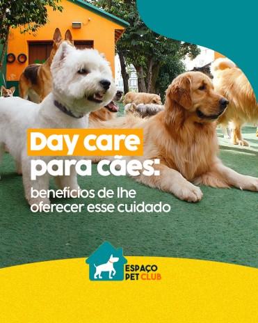 Day care para cães: benefícios de lhe oferecer esse cuidado
