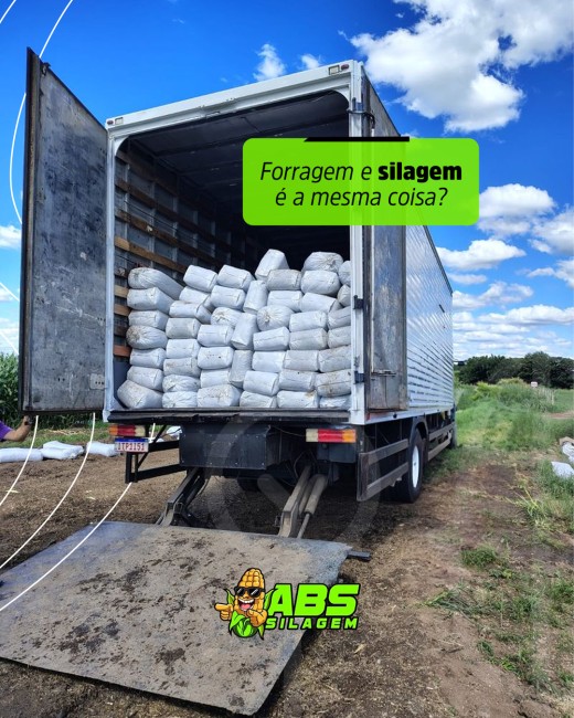 Forragem e silagem é a mesma coisa?