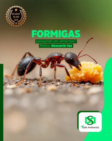 Formigas passeando em alimentos? Melhor descartá-los
