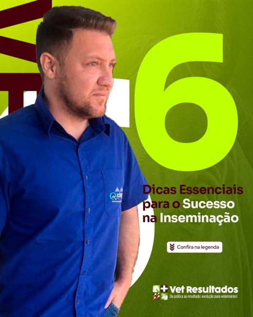 6 Dicas Essenciais para o Sucesso na Inseminação