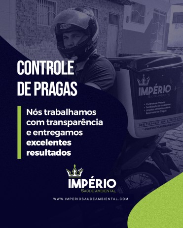 Trabalhamos com transparência e entregamos excelentes resultados