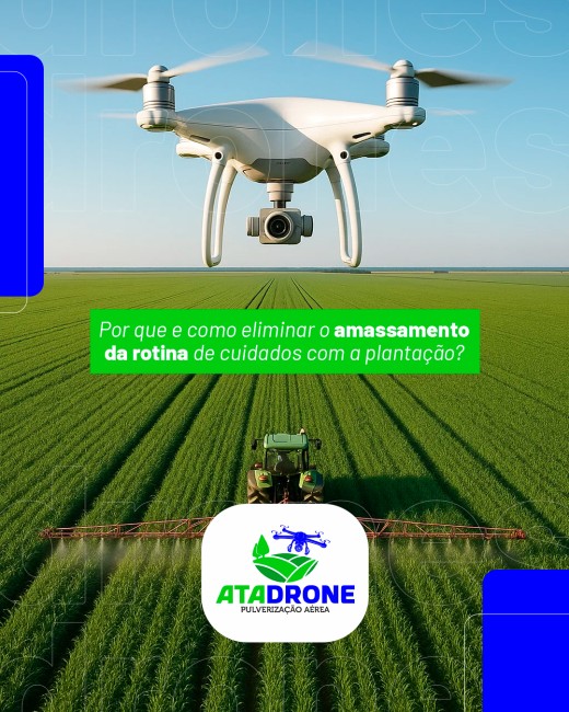 Por que e como eliminar o amassamento da rotina de cuidados com a plantação?