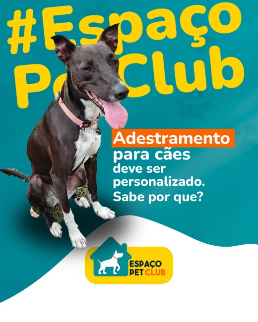 Adestramento para cães deve ser personalizado. Sabe por que?
