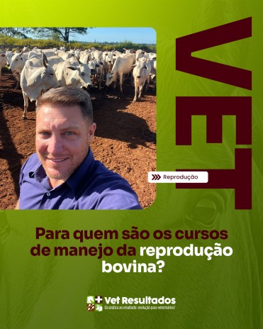 Para quem são os cursos de manejo da reprodução bovina?