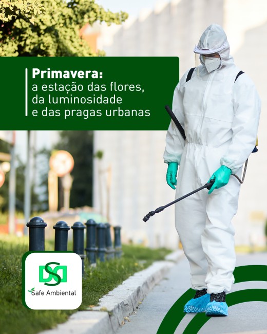 Primavera: a estação das flores, da luminosidade e das pragas urbanas