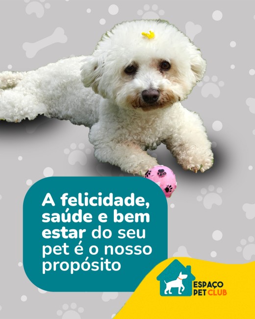 A felicidade, saúde e bem estar do seu pet é o nosso propósito