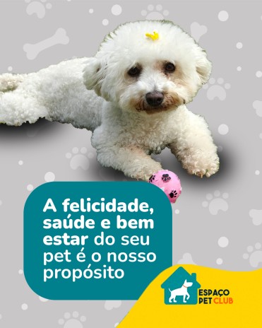 A felicidade, saúde e bem estar do seu pet é o nosso propósito