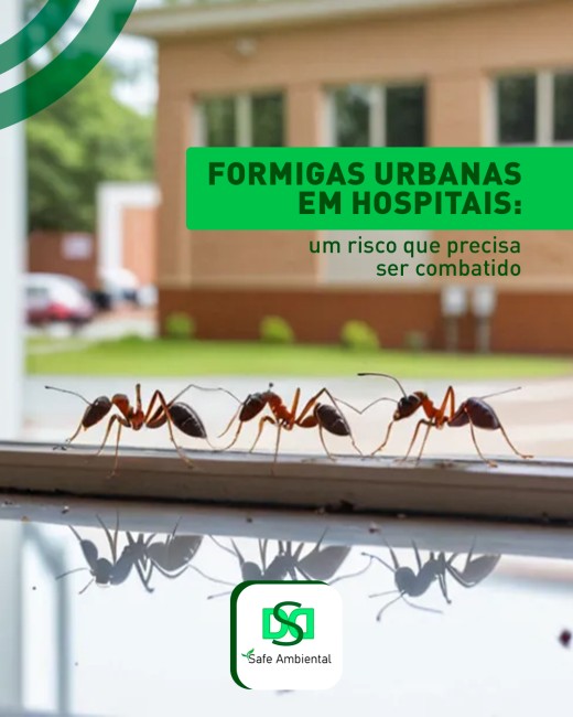 Formigas urbanas em hospitais: um risco que precisa ser combatido