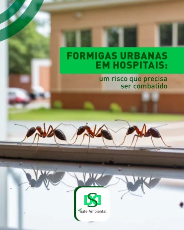 Formigas urbanas em hospitais: um risco que precisa ser combatido