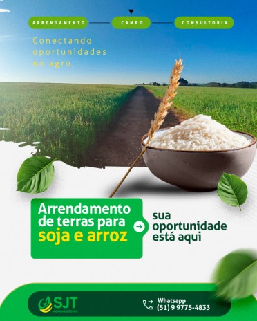 Arrendamento de terras para soja e arroz: sua oportunidade está aqui
