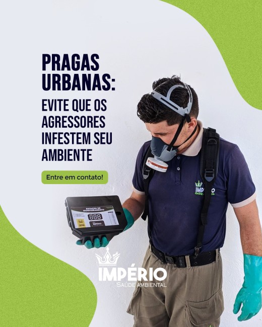 Pragas urbanas: evite que os agressores infestem seu ambiente
