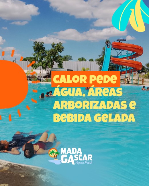 Calor pede água, áreas arborizadas e bebida gelada