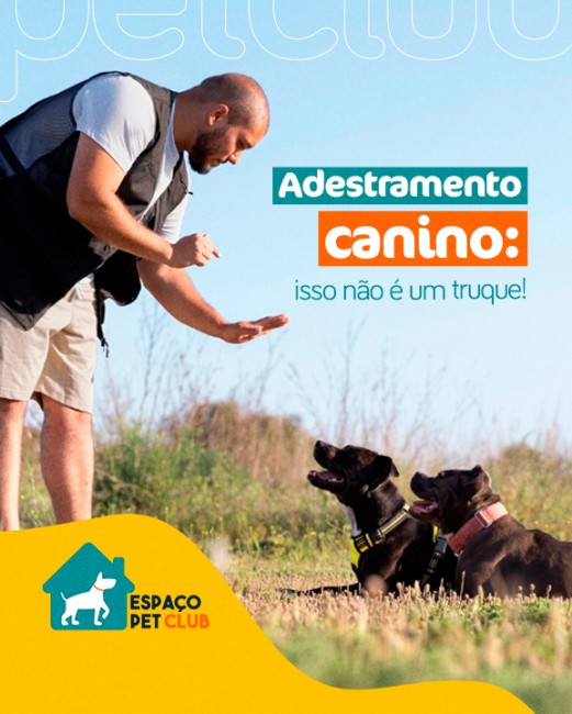 Adestramento canino: isso não é um truque