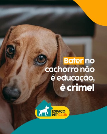 Bater no cachorro não é educação, é crime...