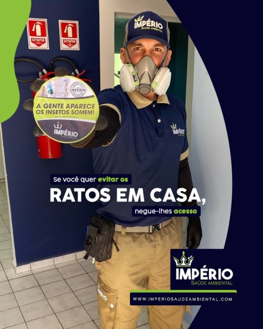 Se você quer evitar os ratos em casa, negue-lhes acesso