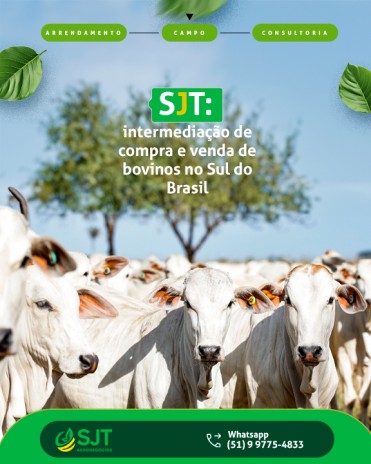 SJT: intermediação de compra e venda de bovinos no Sul do Brasil