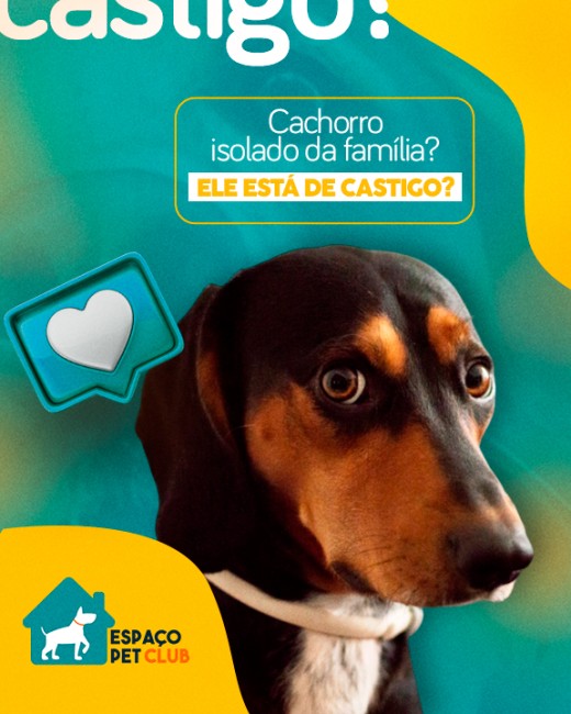 Cachorro isolado da família? Ele está de castigo?