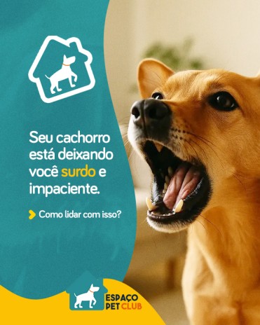 Seu cachorro está deixando você surdo e impaciente. Como lidar com isso?