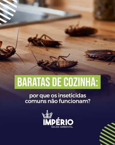 Baratas de cozinha: por que os inseticidas comuns não funcionam?
